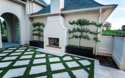 Turf vs. Grass: Choosing the Perfect Ground Cover for Your Outdoor Living Area