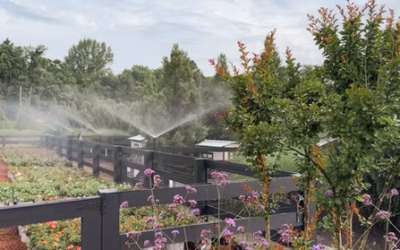 July is Smart Irrigation Month
